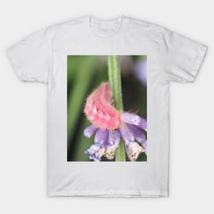 Pink caterpillar T-Shirt